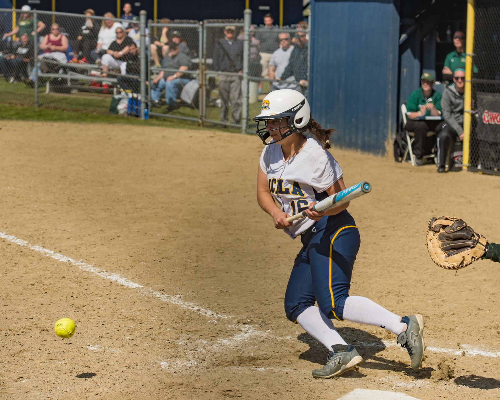 Softball loses a pair to Westfield