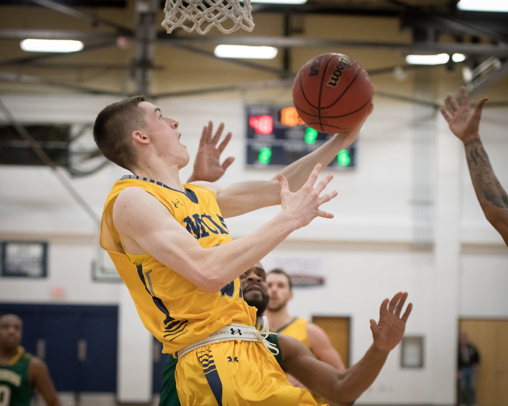 Yearsley repeats, adds fifth MASCAC rookie of the week honor as playoffs begin tomorrow