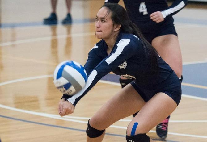 Volleyball falls in ECAC final to Endicott 3-0