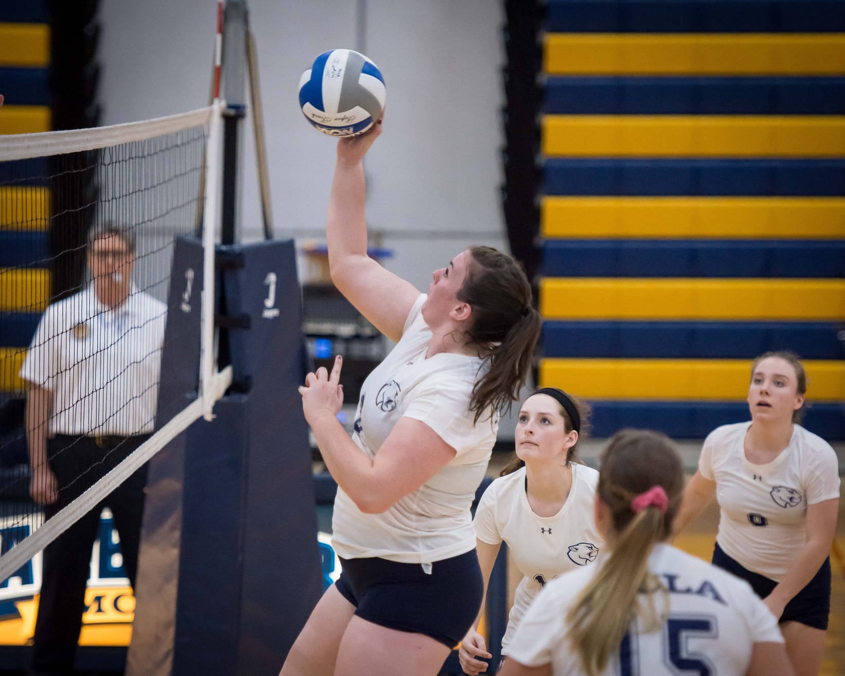 Volleyball evens MASCAC mark with 3-0 win over Fitchburg State