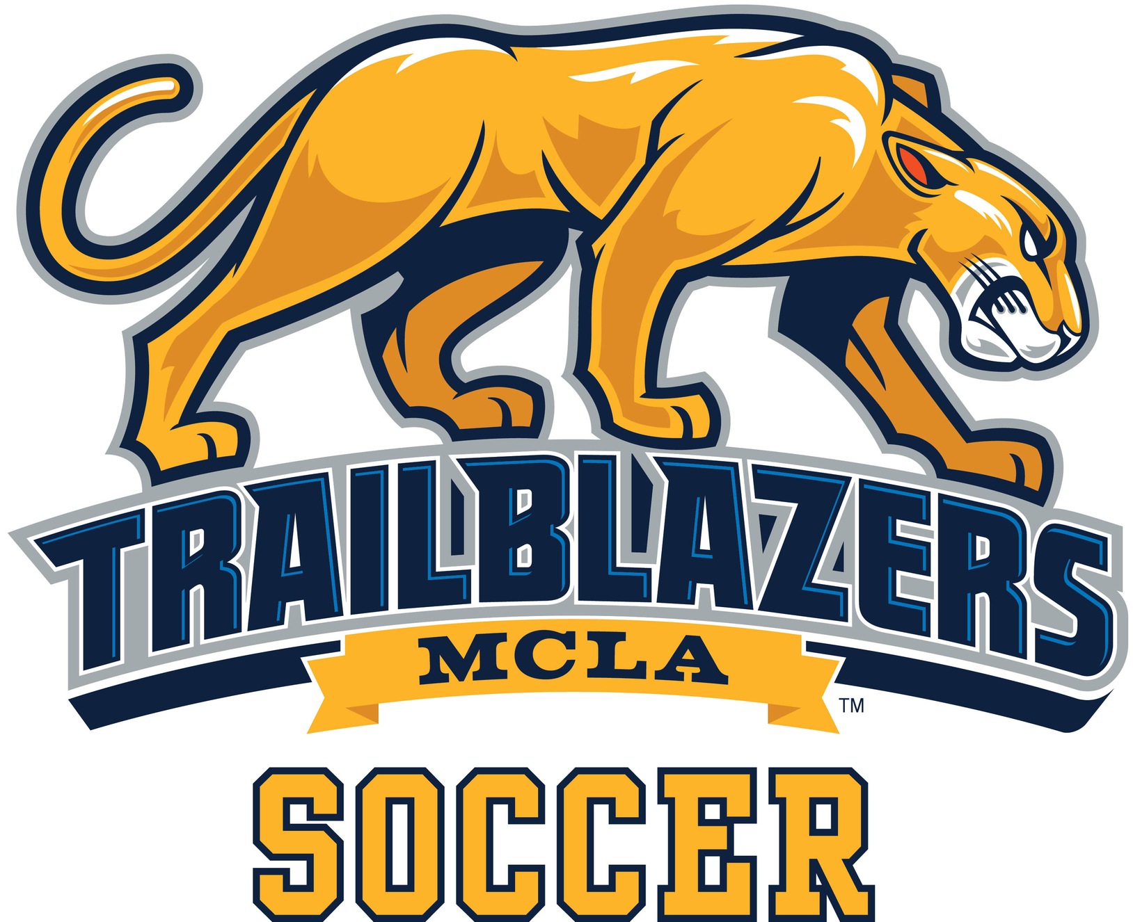 Men's Soccer clinic cancelled due to COVID-19