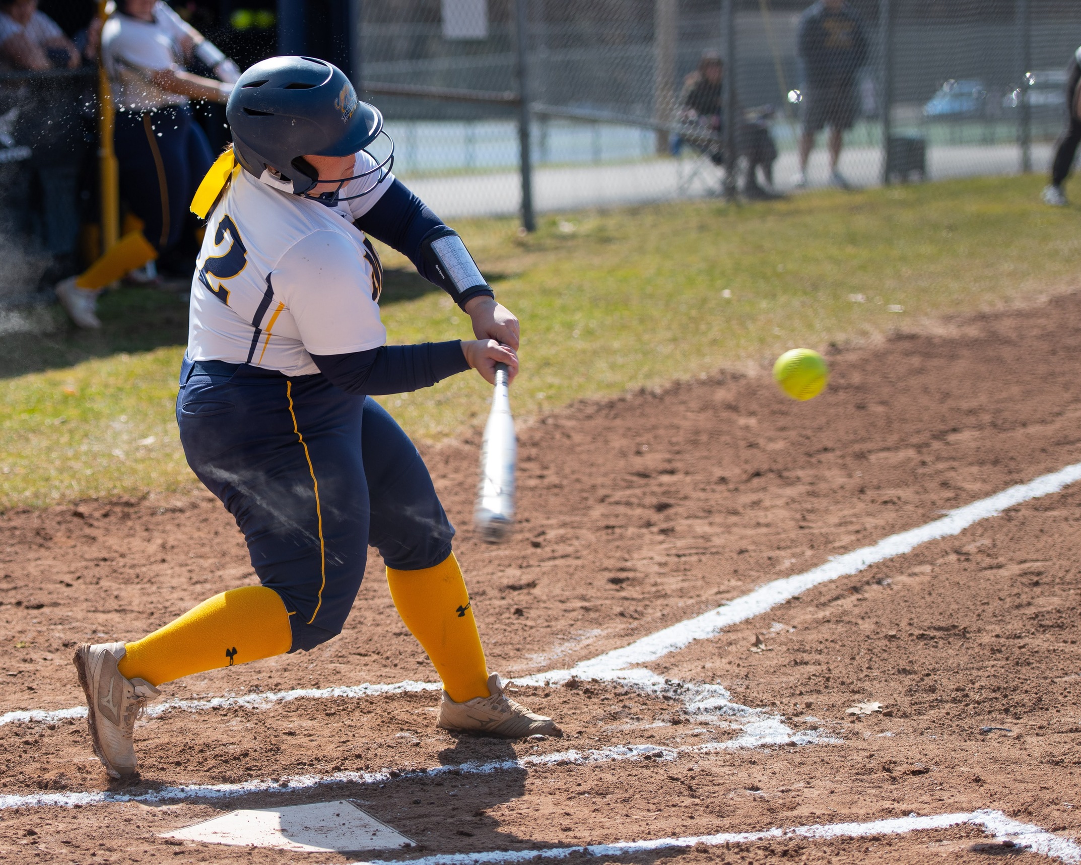 Softball opens up Home schedule with pair of setbacks to Skidmore