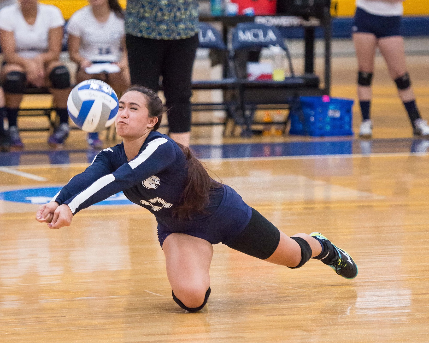 Volleyball falls to Sage in three sets